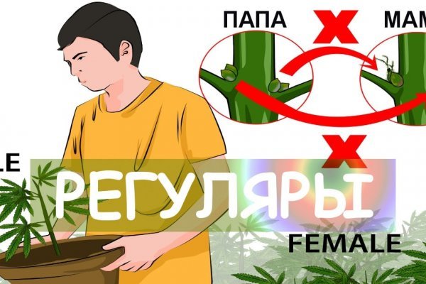 Какая ссылка на кракен