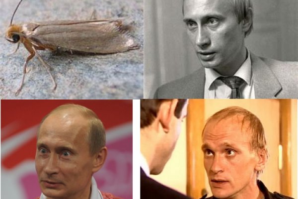Кракен даркшоп